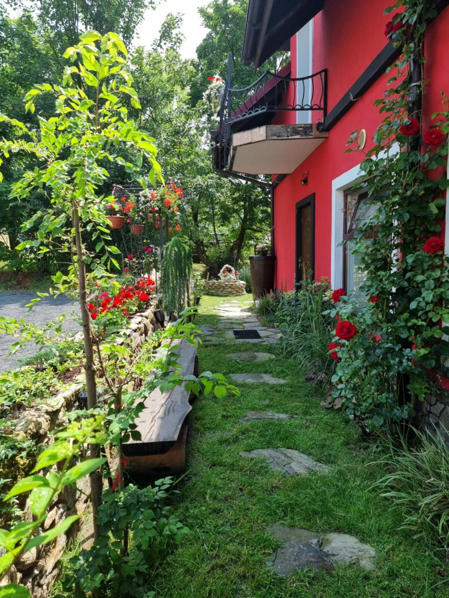 Apartamenty U Bodzia Строне-Слёнске Экстерьер фото