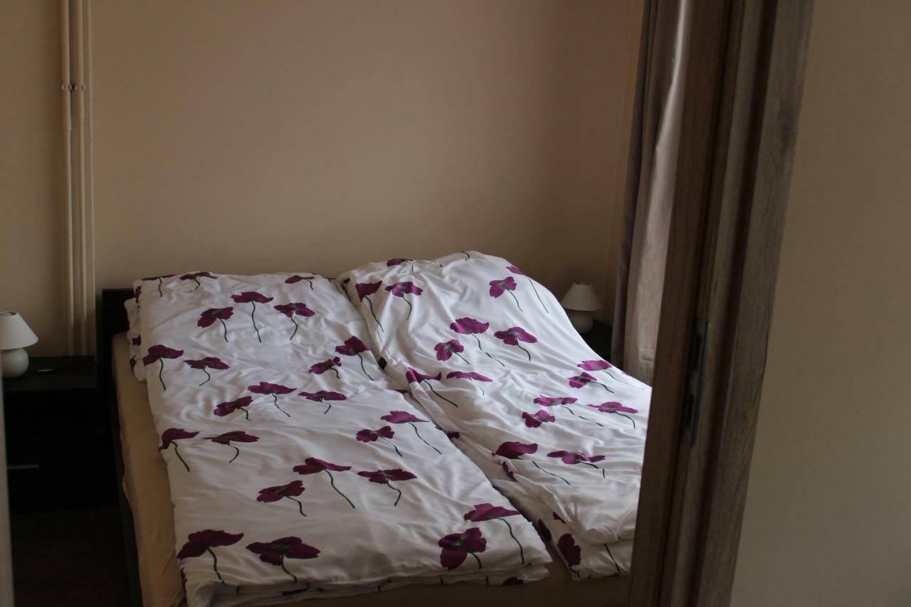 Apartamenty U Bodzia Строне-Слёнске Экстерьер фото