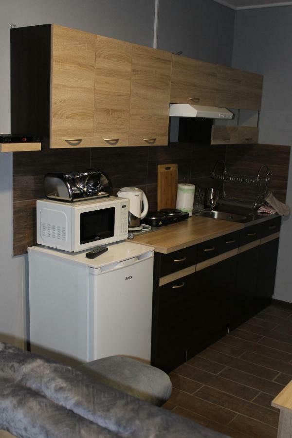 Apartamenty U Bodzia Строне-Слёнске Экстерьер фото